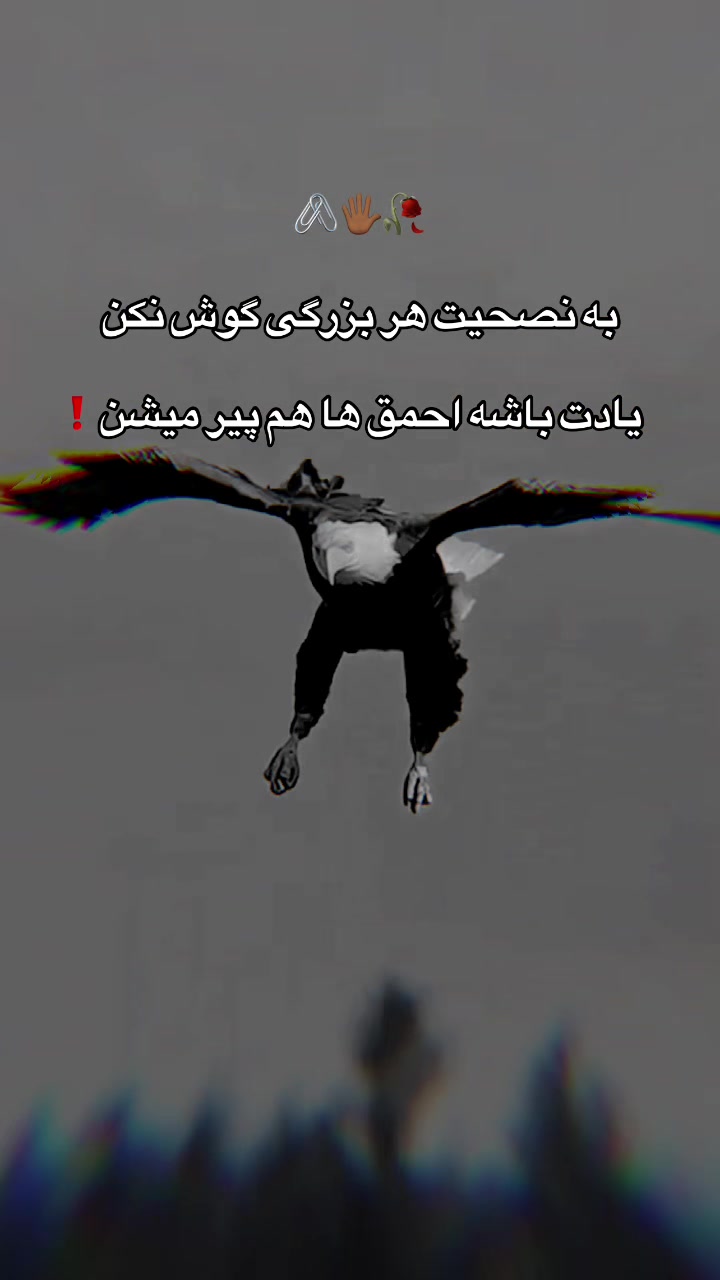@𓆩&bull;.M4sror07.&bull;𓆪