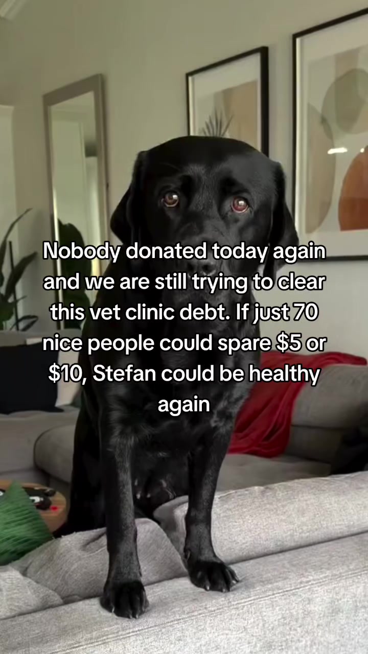 @lucycat28