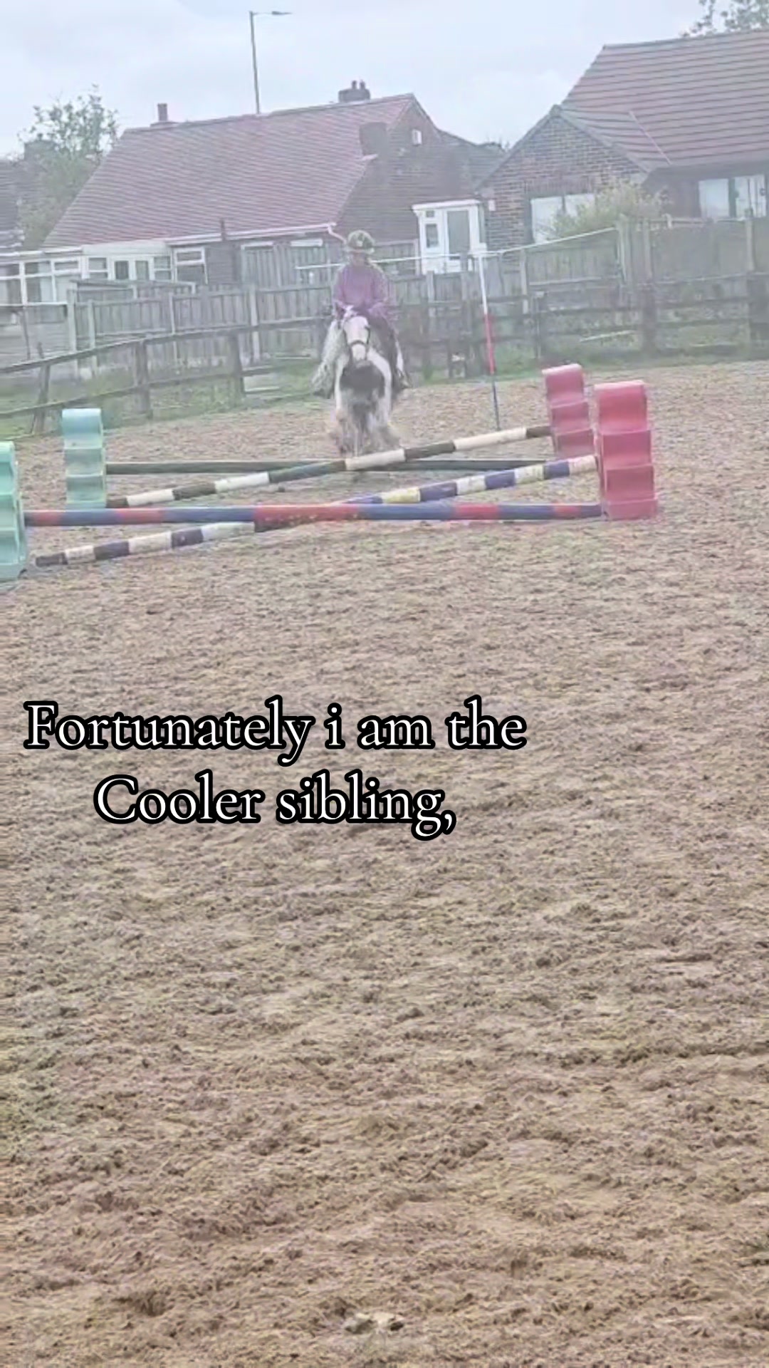 @Emilyy🐎🐴💗