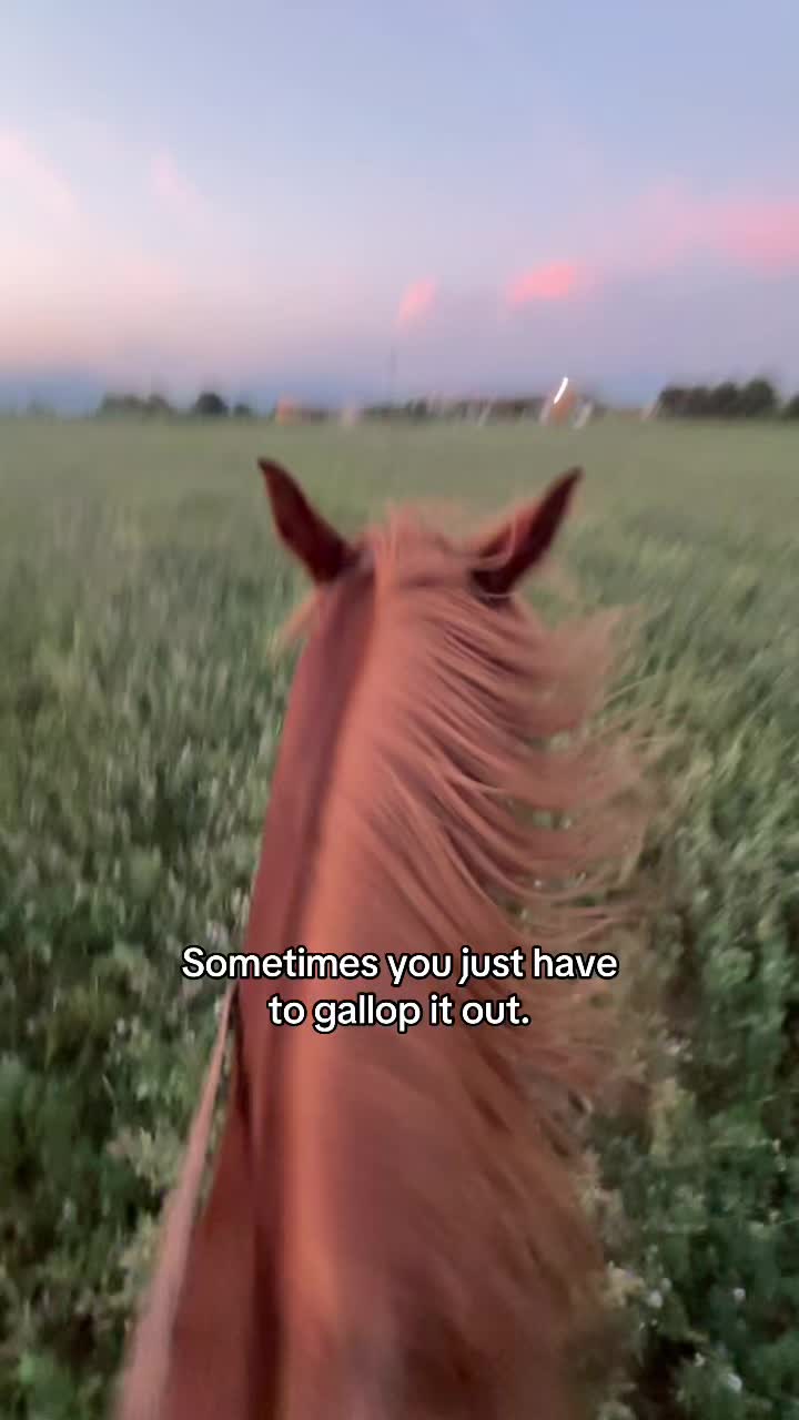 @Lisa Gaudiano