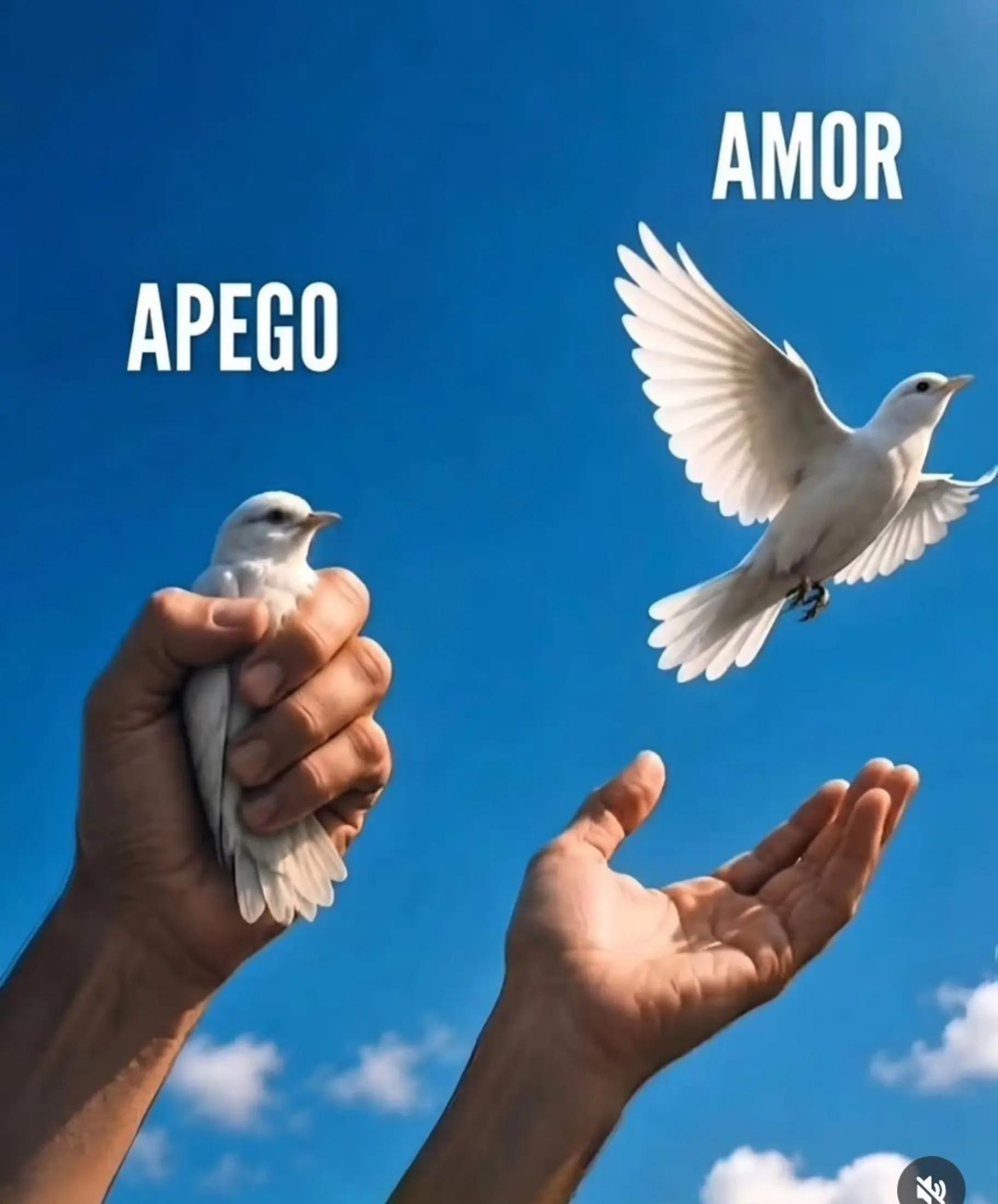 @El Botijo_oficial