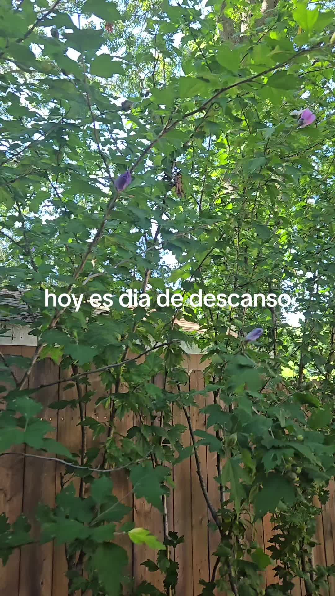 @HILDA