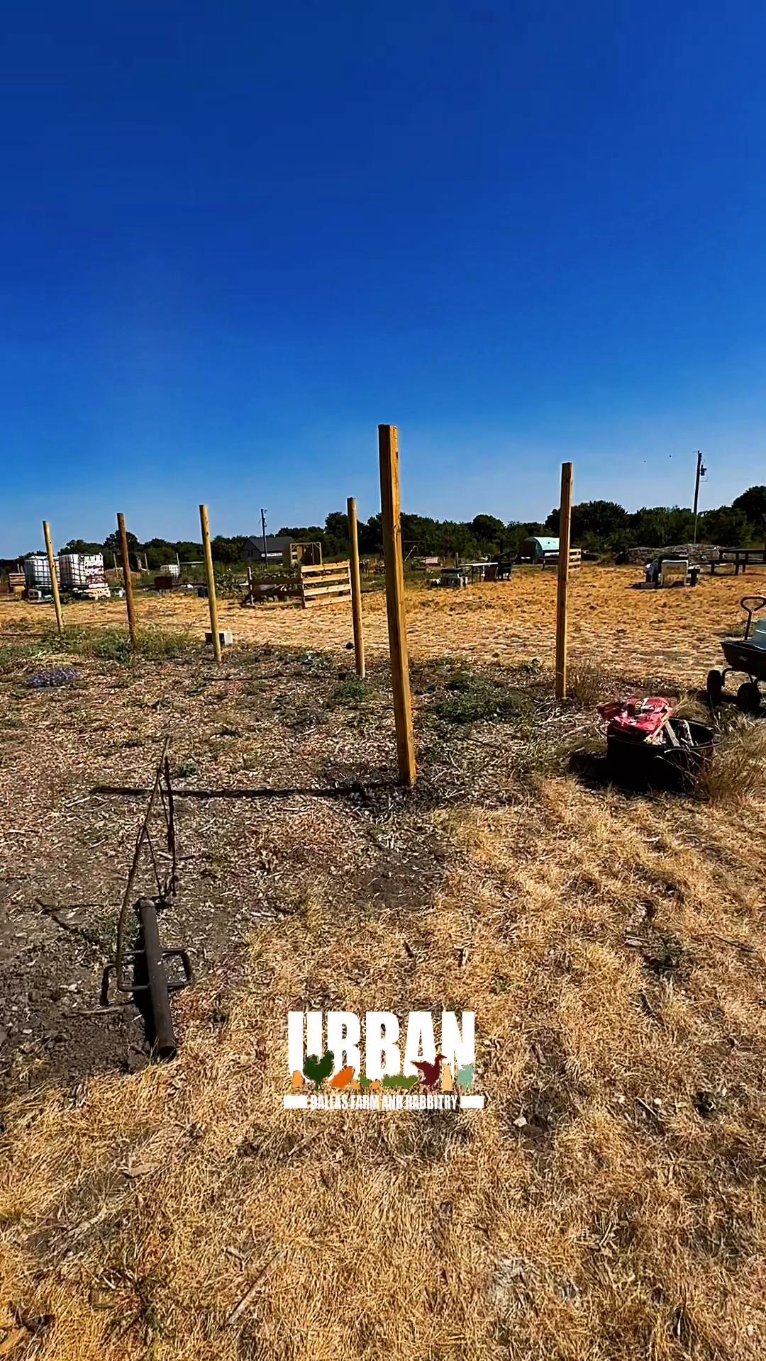 @Urban Dallas Farm