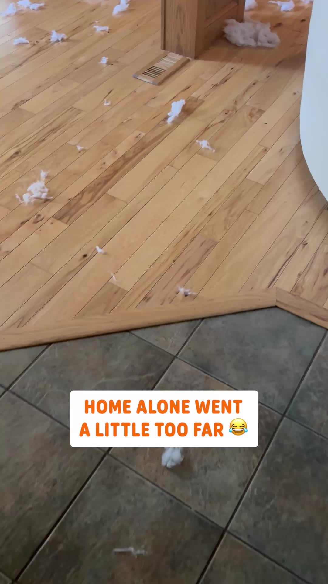 @Pawsome Pets