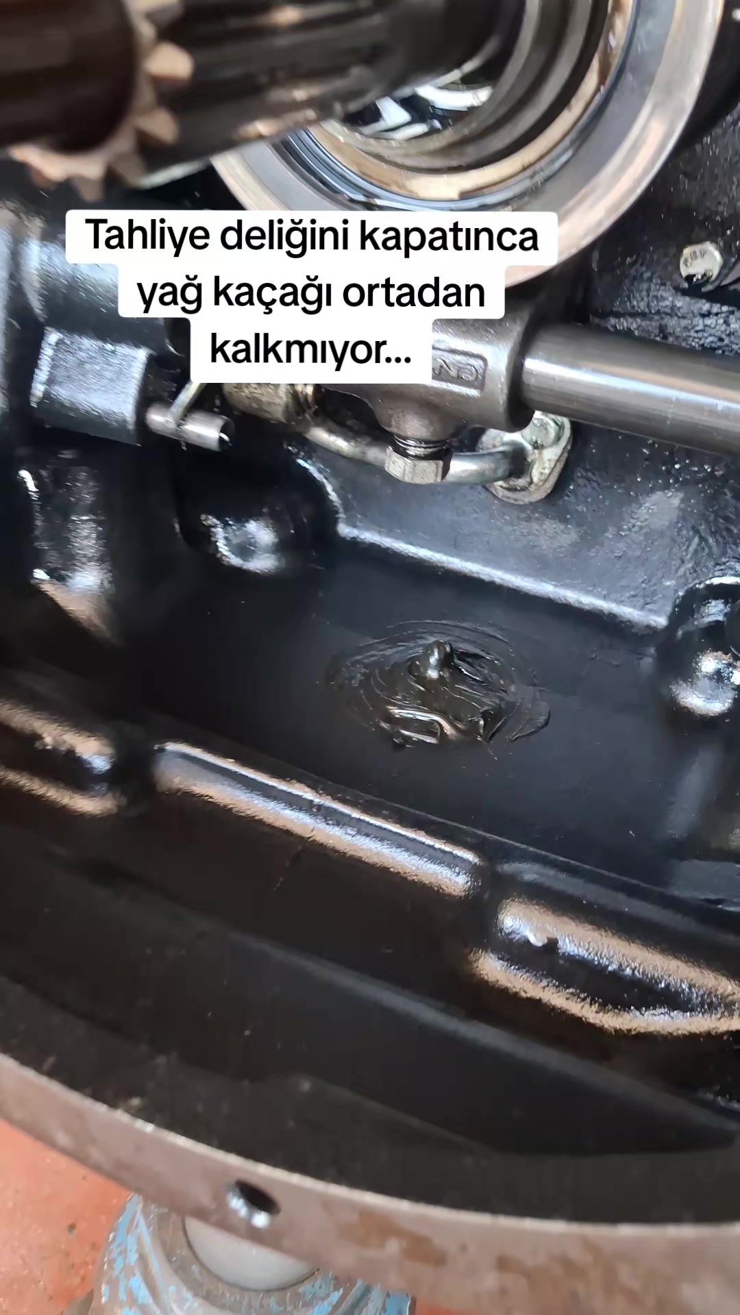 @sedat deviren