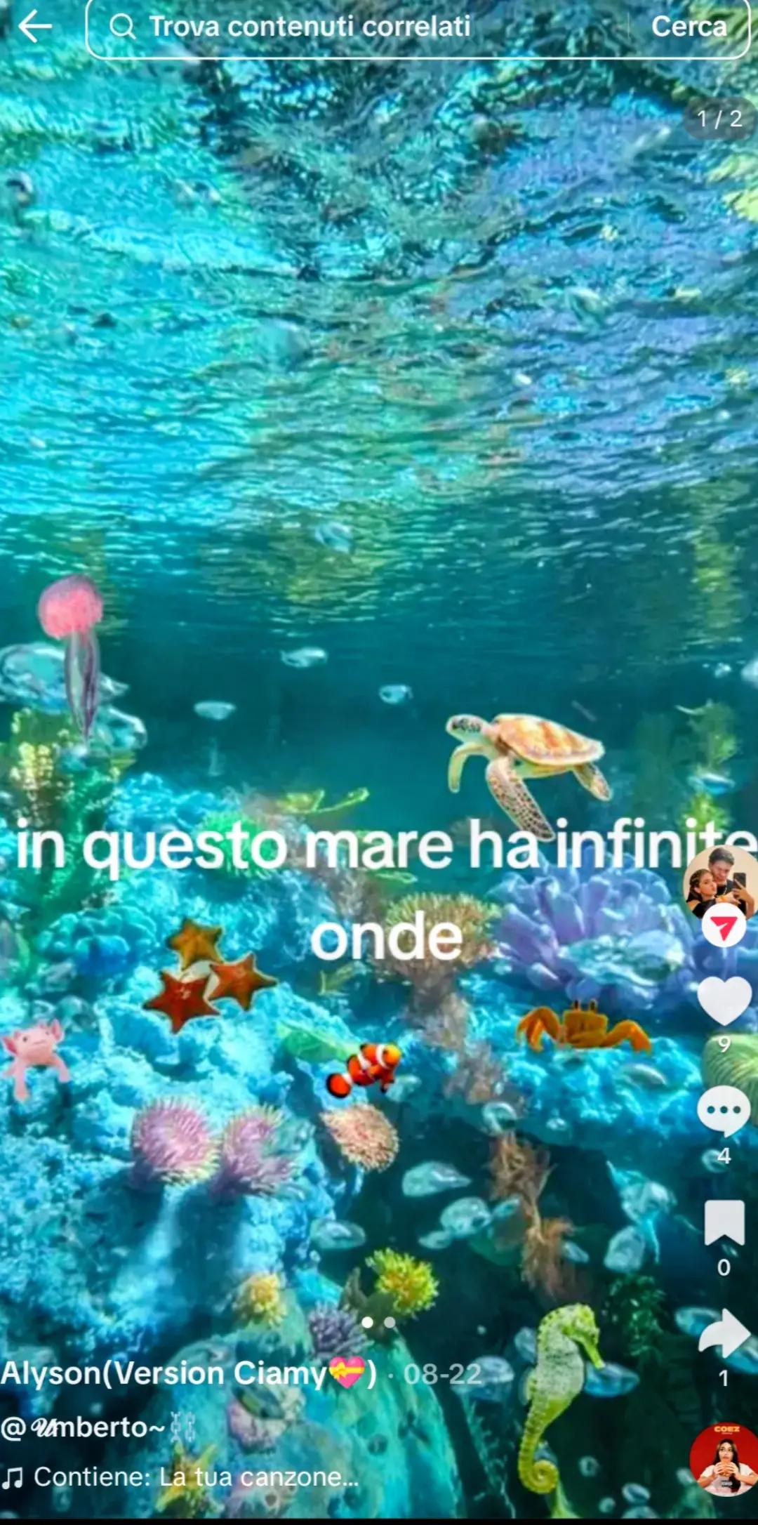 @*Ciamy* fan Page 💅🩷