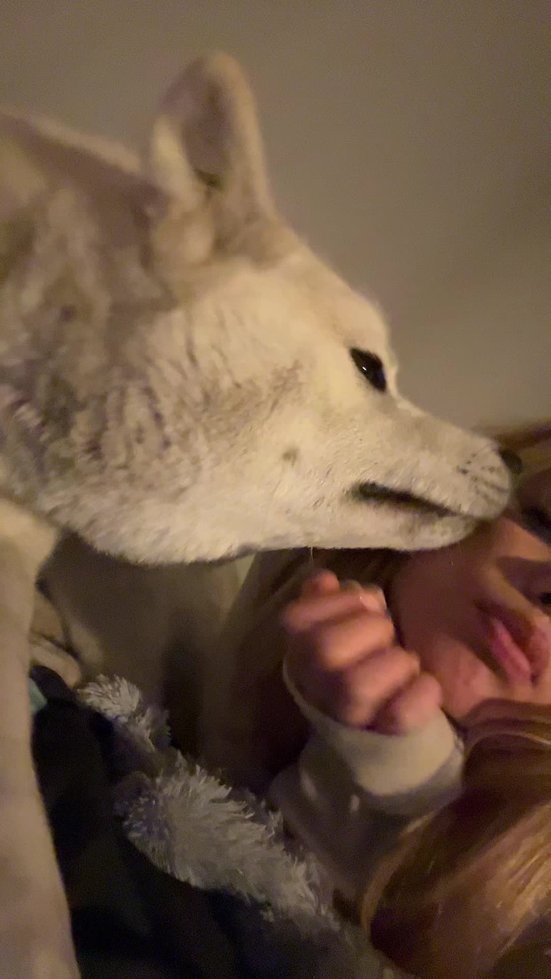 @snaduus