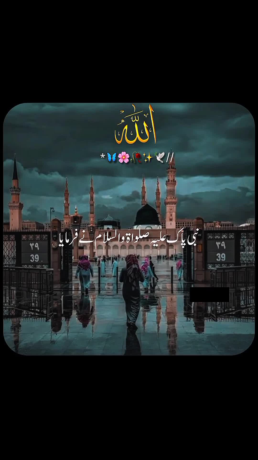 @✨dilawar edits✨