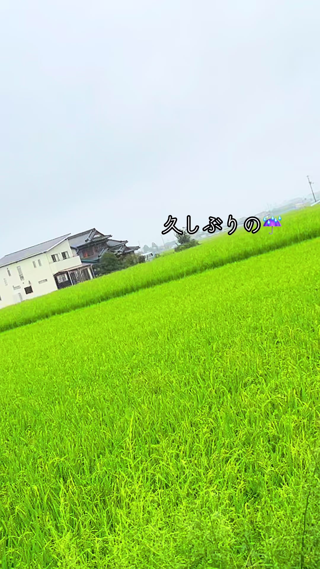 @snup.farm