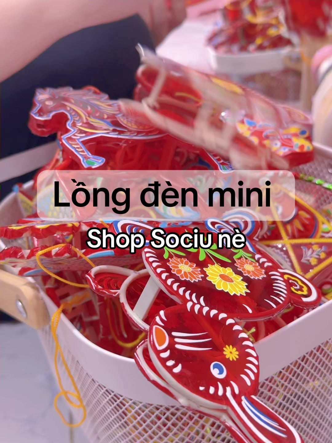 @🐻 SOCIU - phụ kiện dễ thương