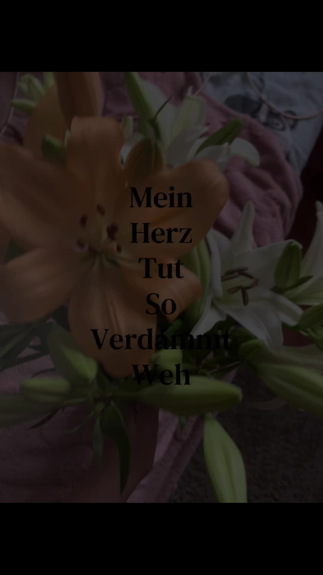@𝟢𝟨𝟤_𝖥𝗂𝗇𝗃𝖺