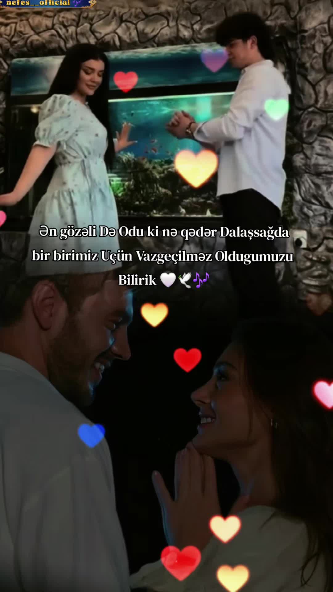 @๐ต๐๐๐๐_๐๐๐๐๐๐๐๐_๐ถ