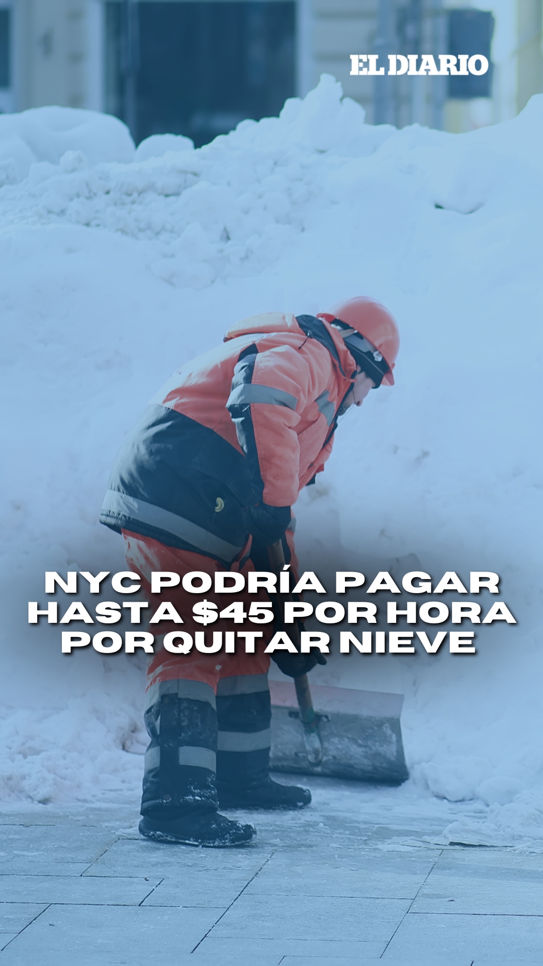 @eldiariony