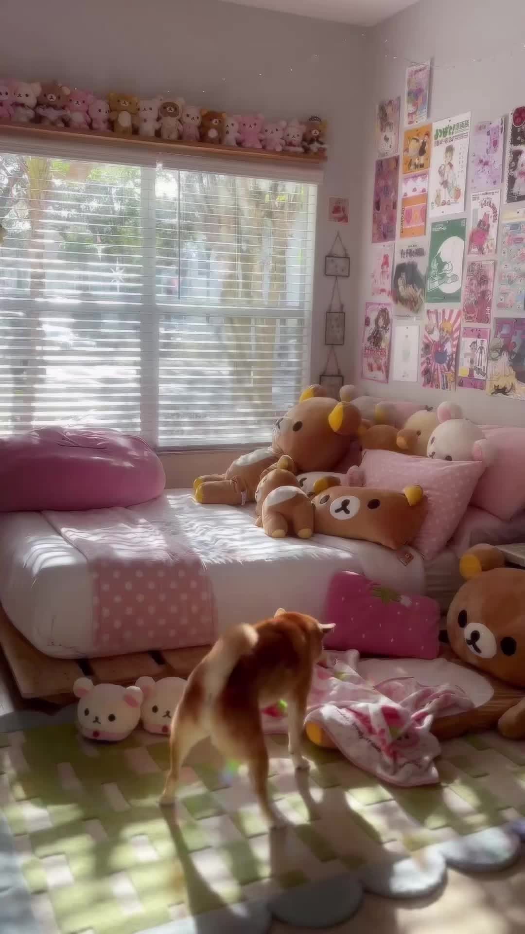 @Fab ʕ – ᴥ – ʔ
