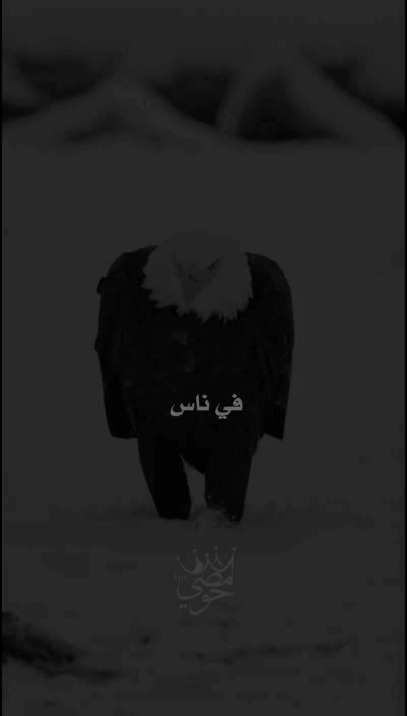 @« ๐๐ - ๐๐๐๐๐ »