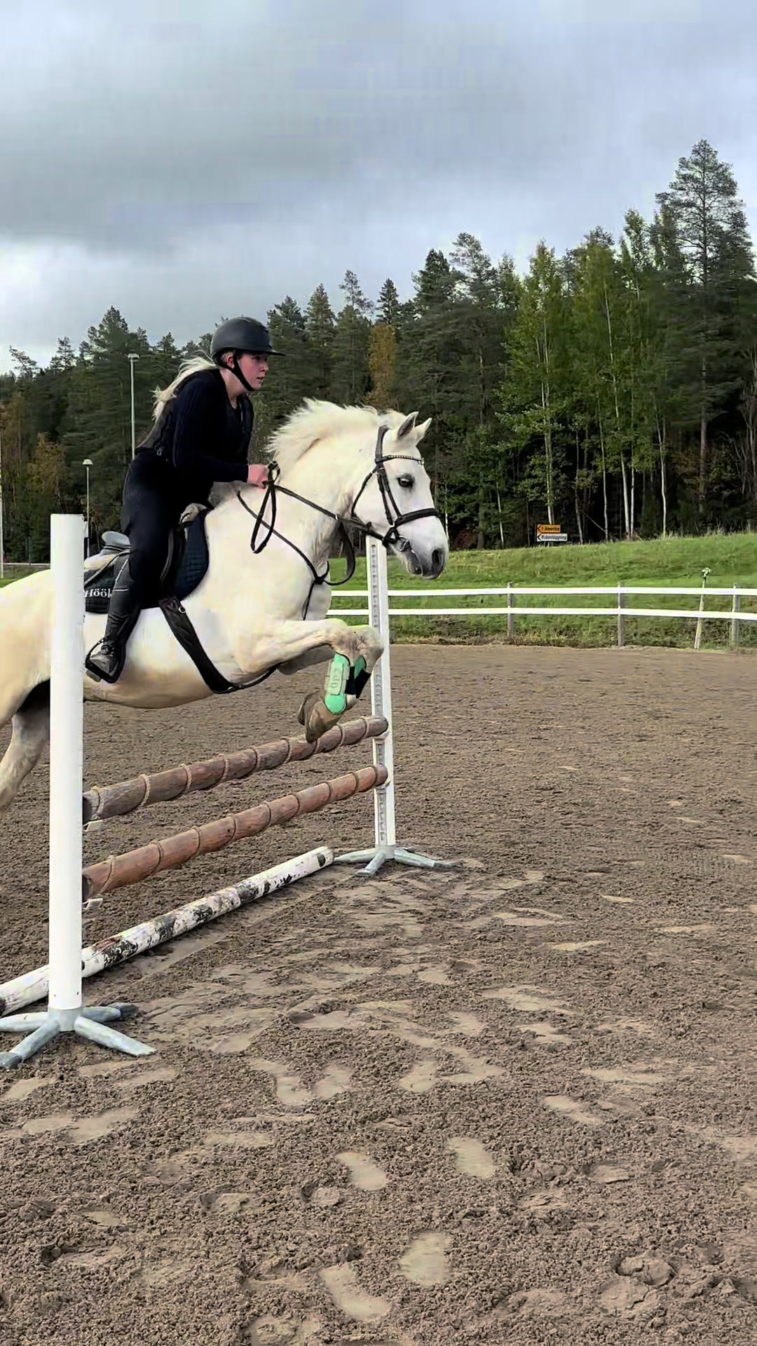 @Alice &aring; Jack🌟