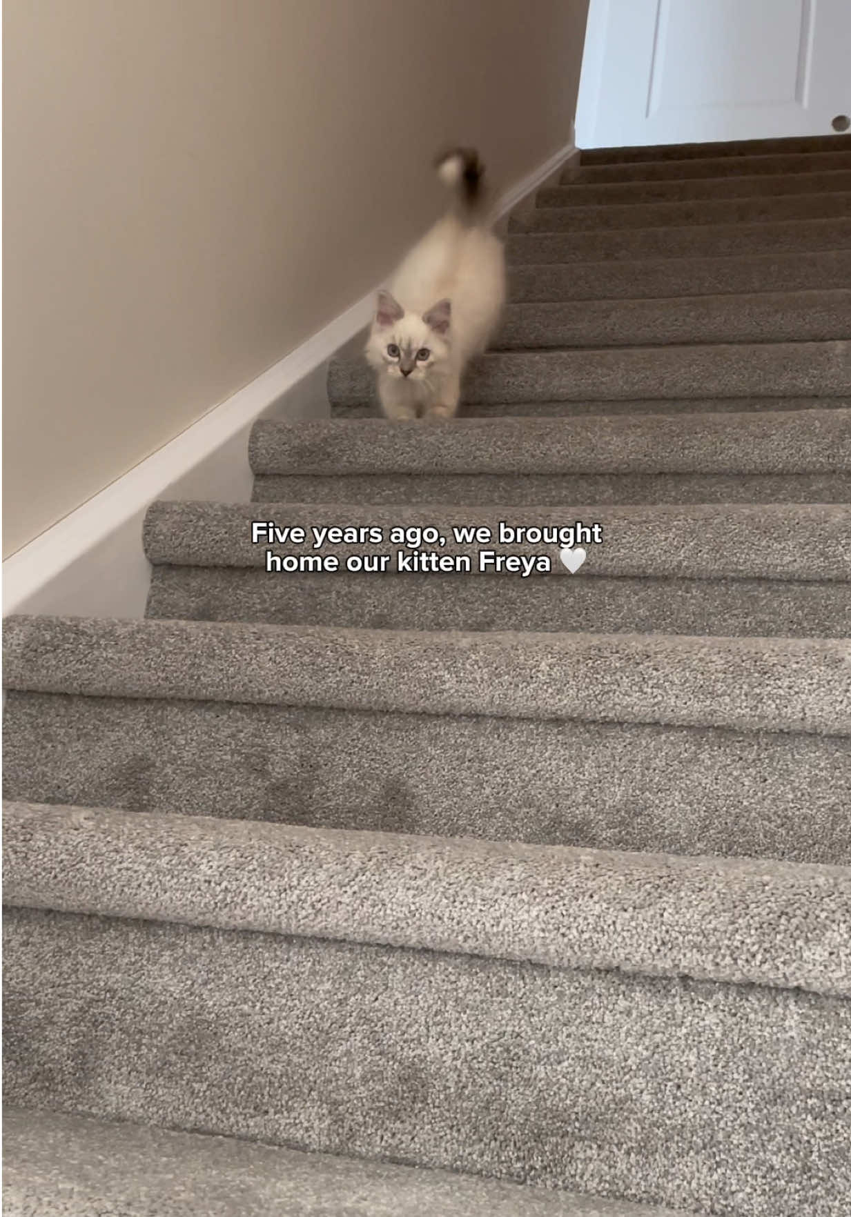@Freya & Teddy