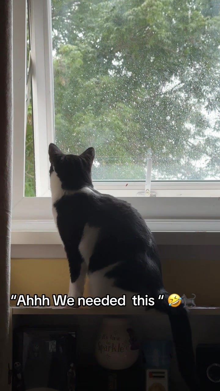 @Paigeyy