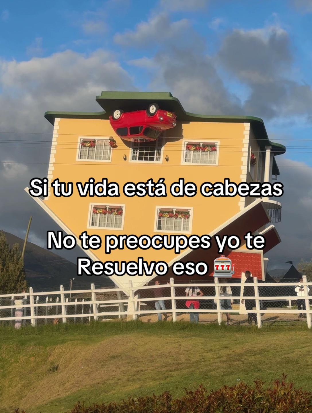 @Capo_Zebas333