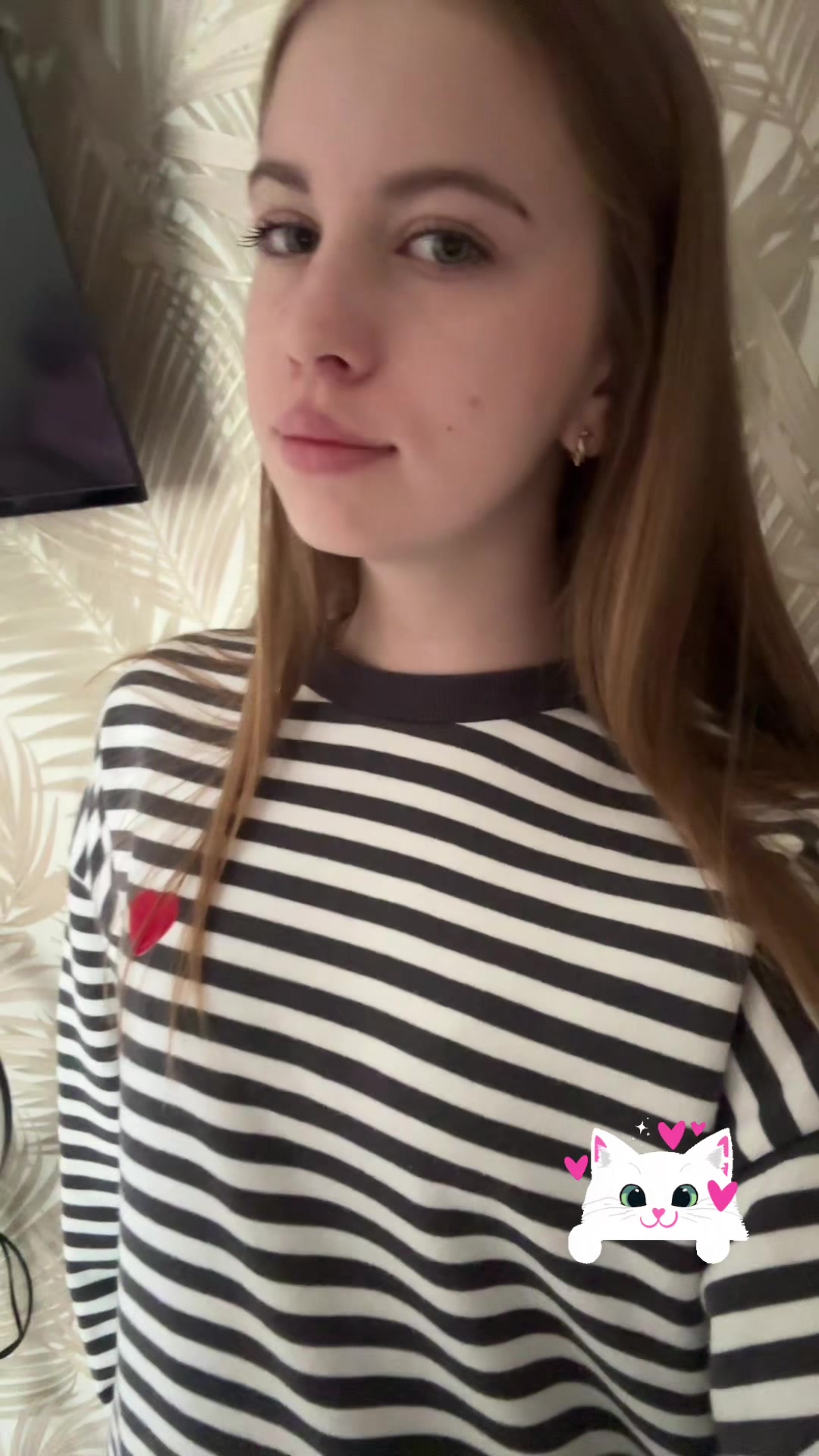 @zzz🐈&zwj;⬛