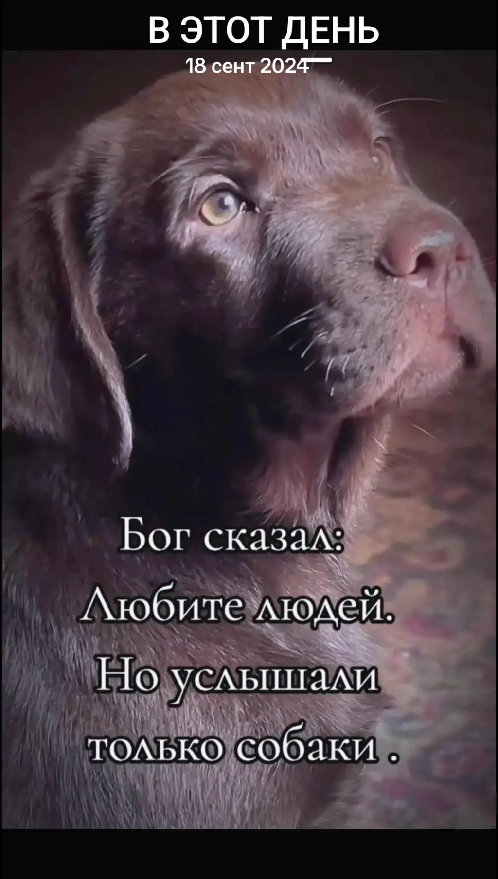 @💠Любаша💠