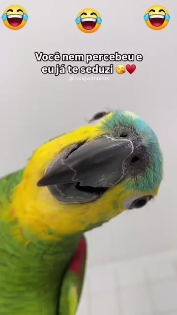 @Monique