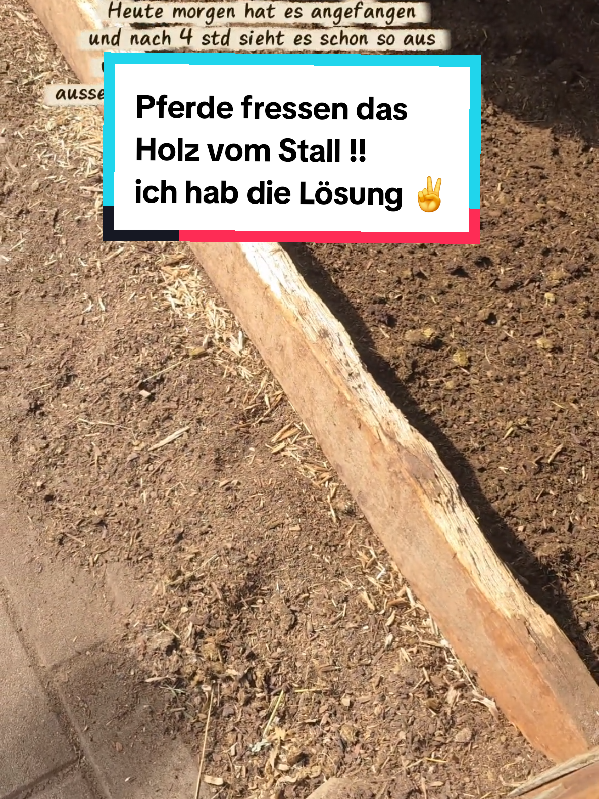 @🤠 Cowboy.HDH