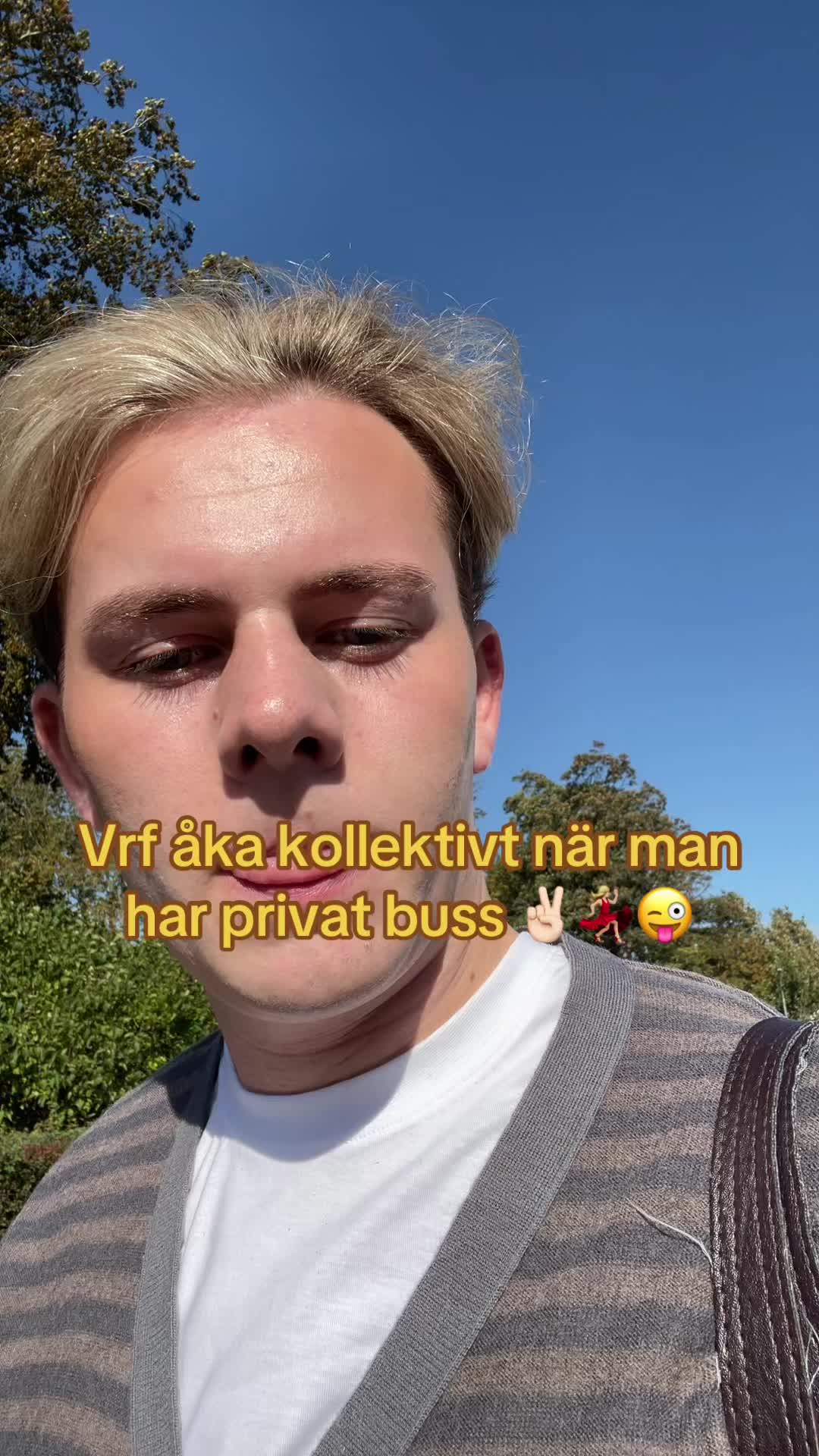@nisse 🦊