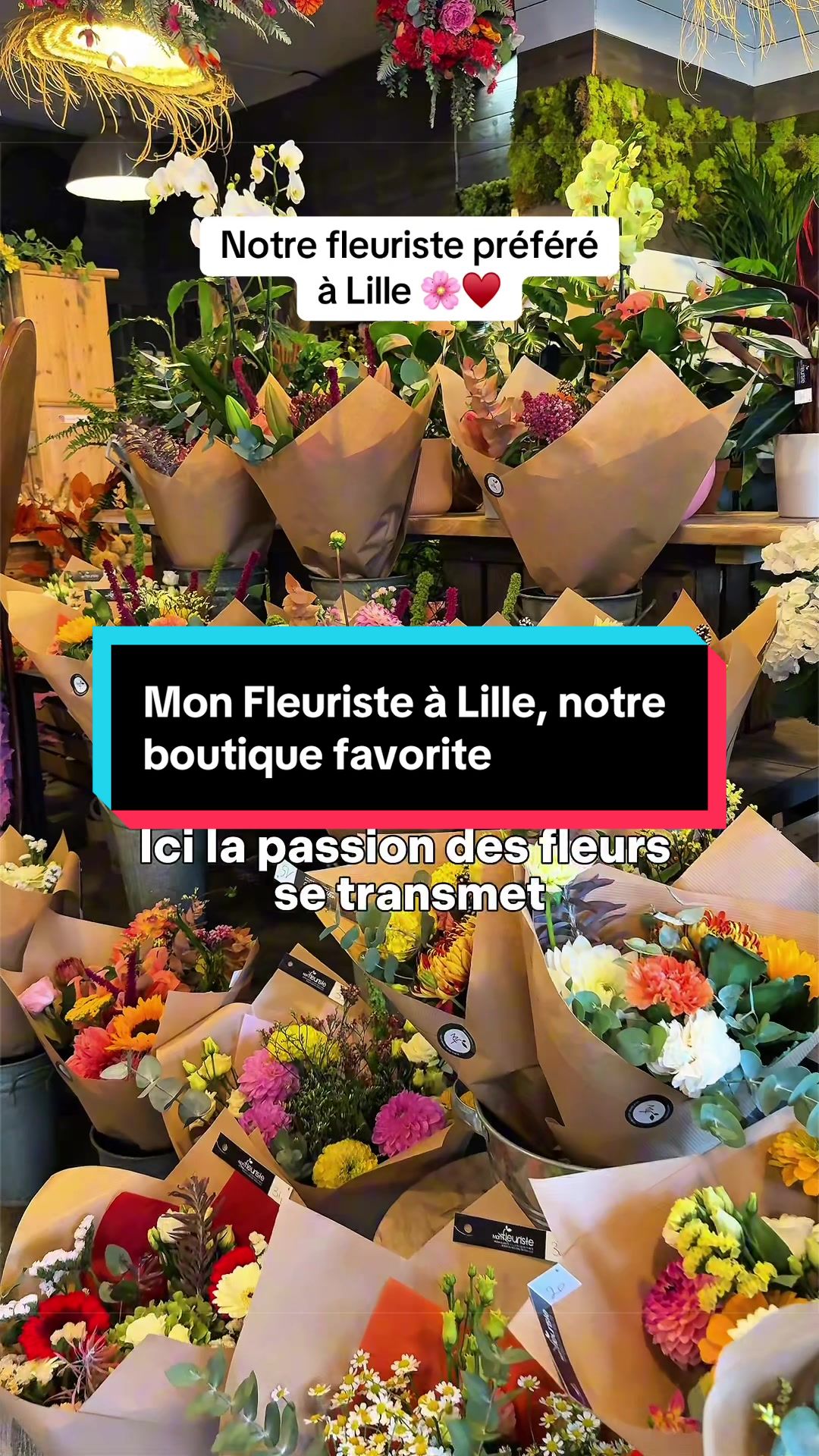 @Les Cachotteries de Lille