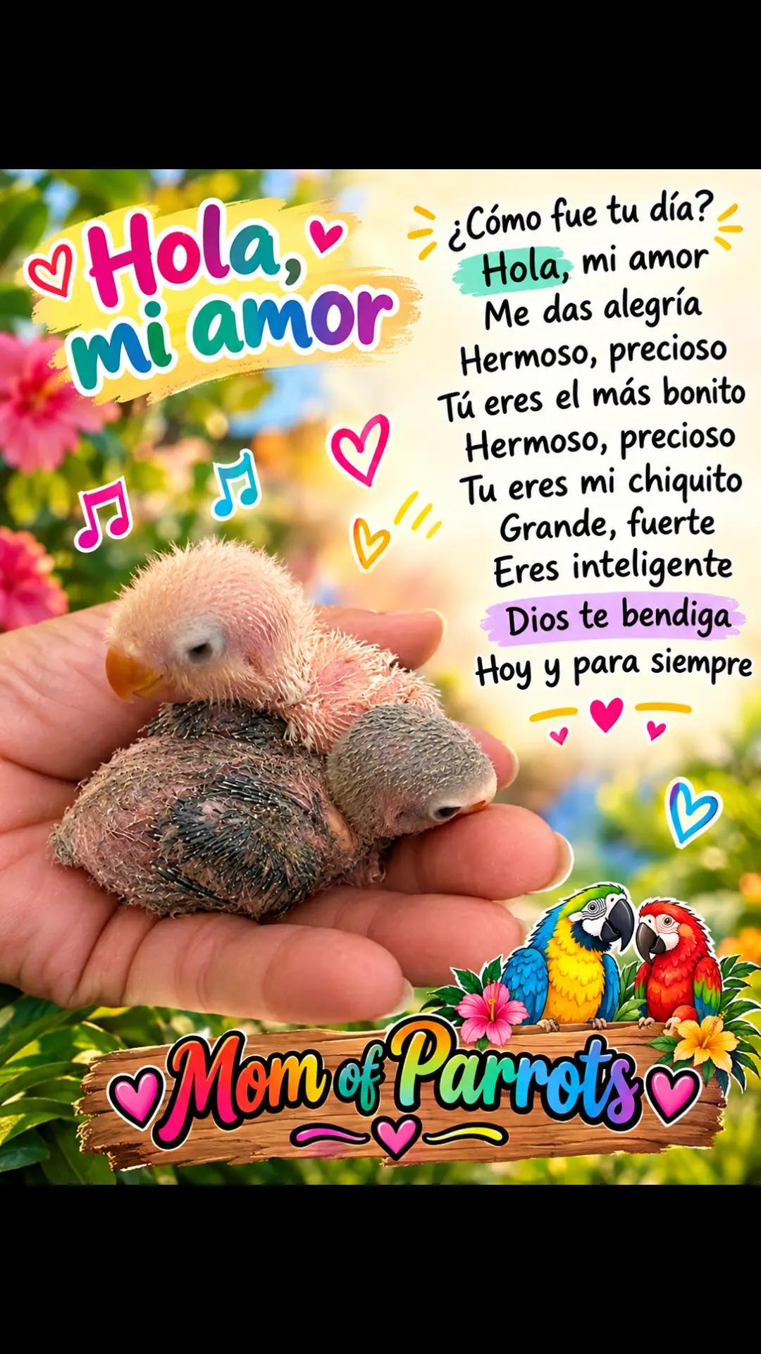 @🦋🇵🇷Mom of Parrots🇵🇷🦋