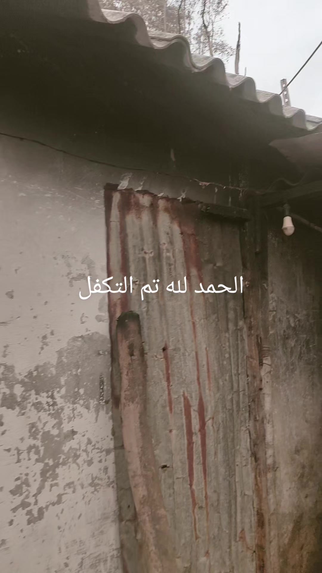 @طبيب بيطري و أفتخر