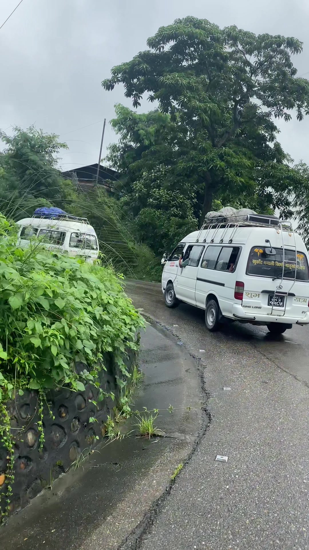 @रुम्बा❣️मुकु❣️🐇🐇