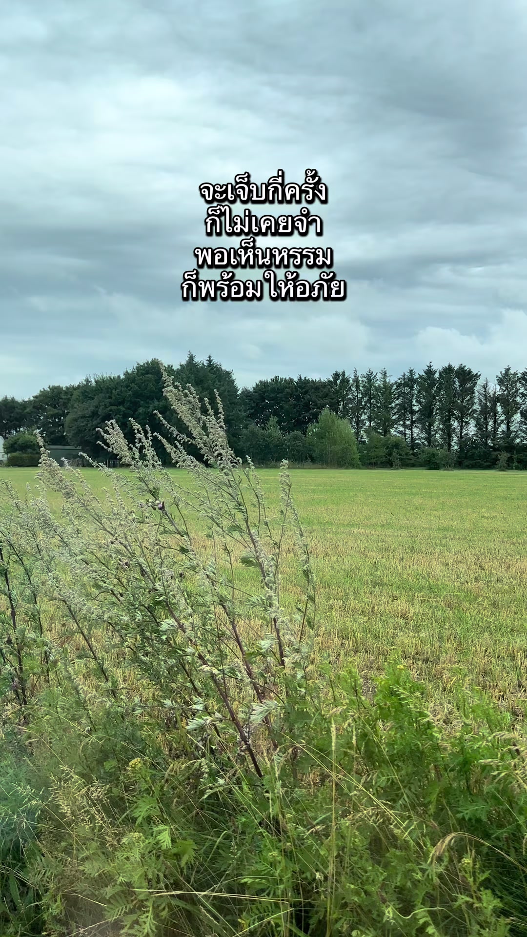 @นุ่มนิ่มเดนมาร์กNB Dk 🇹🇭🇩🇰