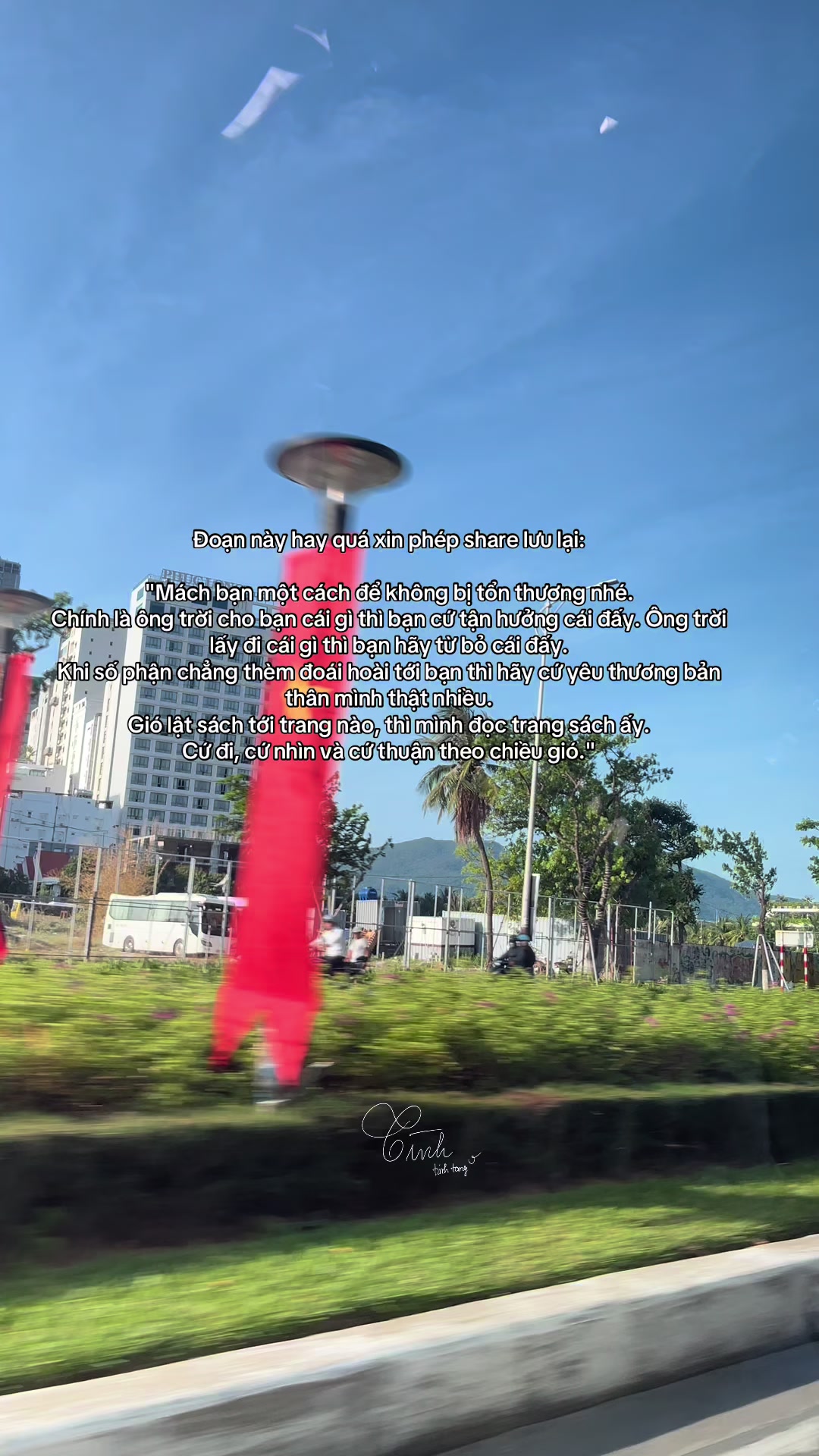 @Reels của T&igrave;nh 🫧