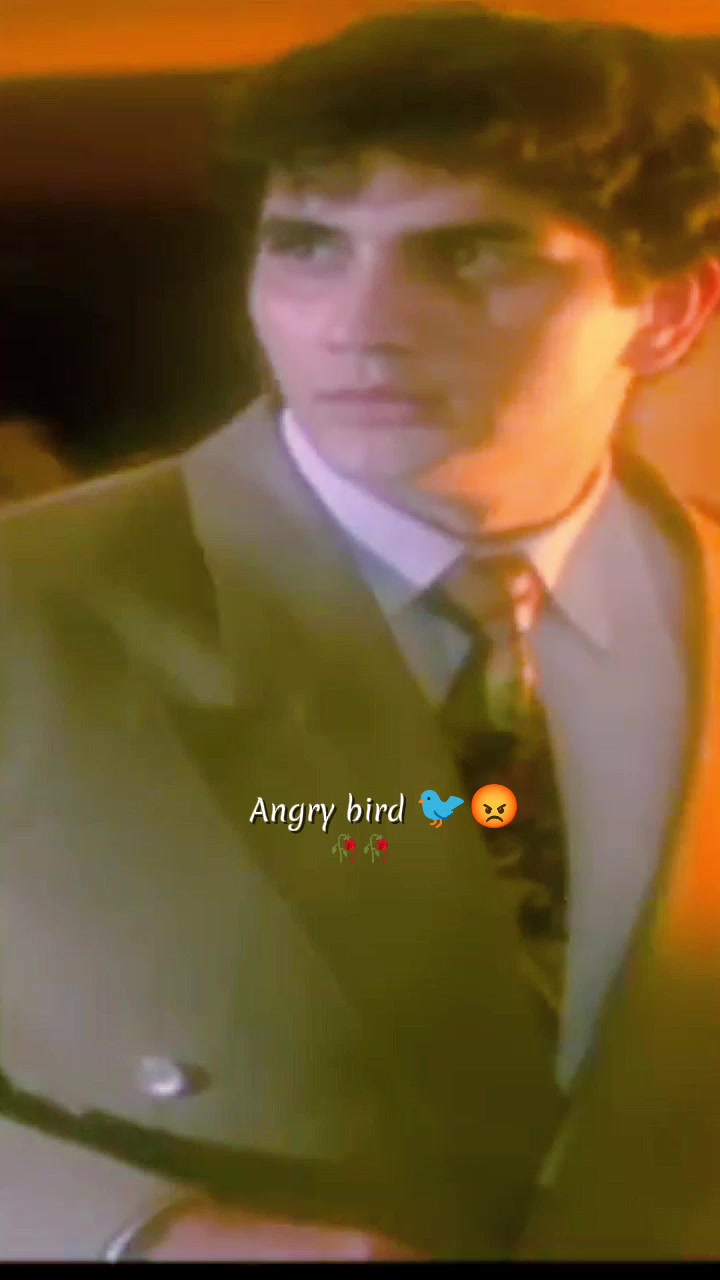 @💫𝖆𝖓𝖌𝖗𝖞 𝖇𝖎𝖗𝖉𝖘💫💥