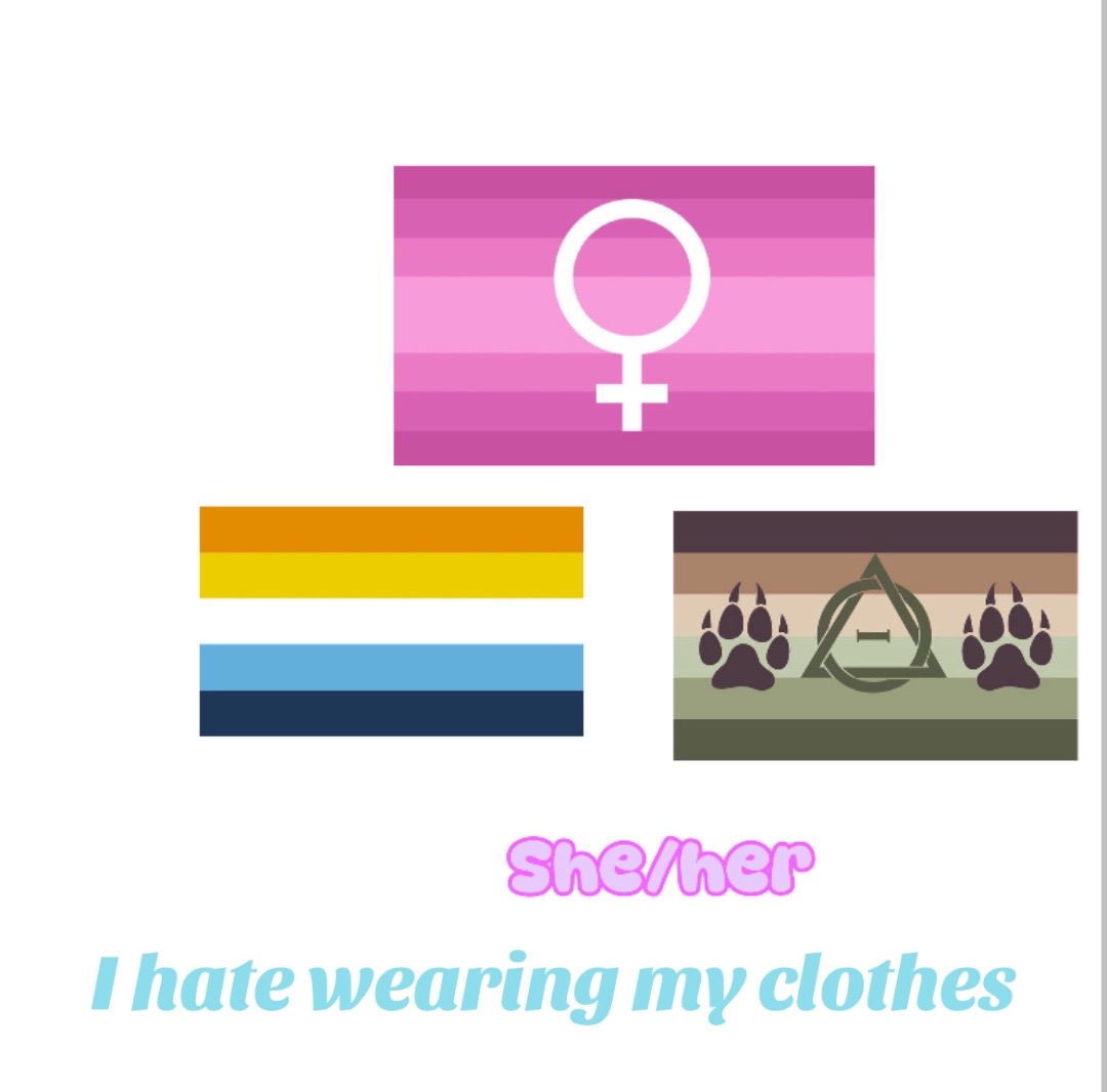 @💊🌈Harvey (#1 flowerpop fan)