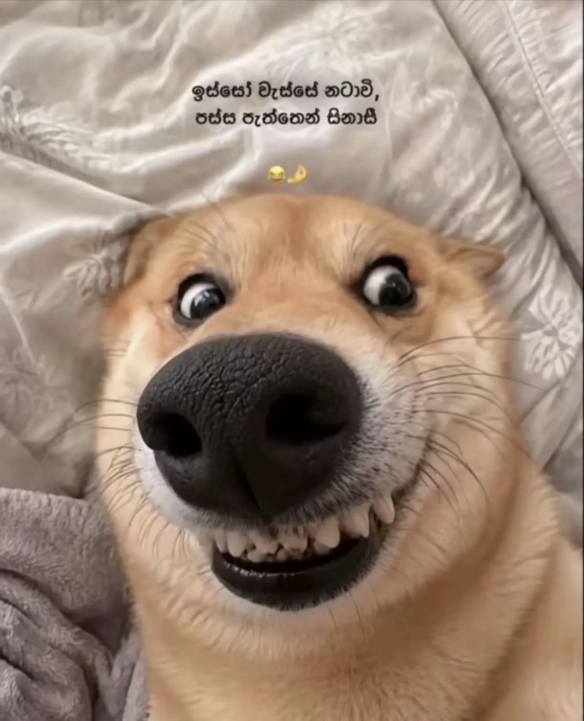 @𝘿𝙀𝘼𝙈𝙀𝙉𝘽𝙊𝙔 ᥫ᭡.🧃✌️