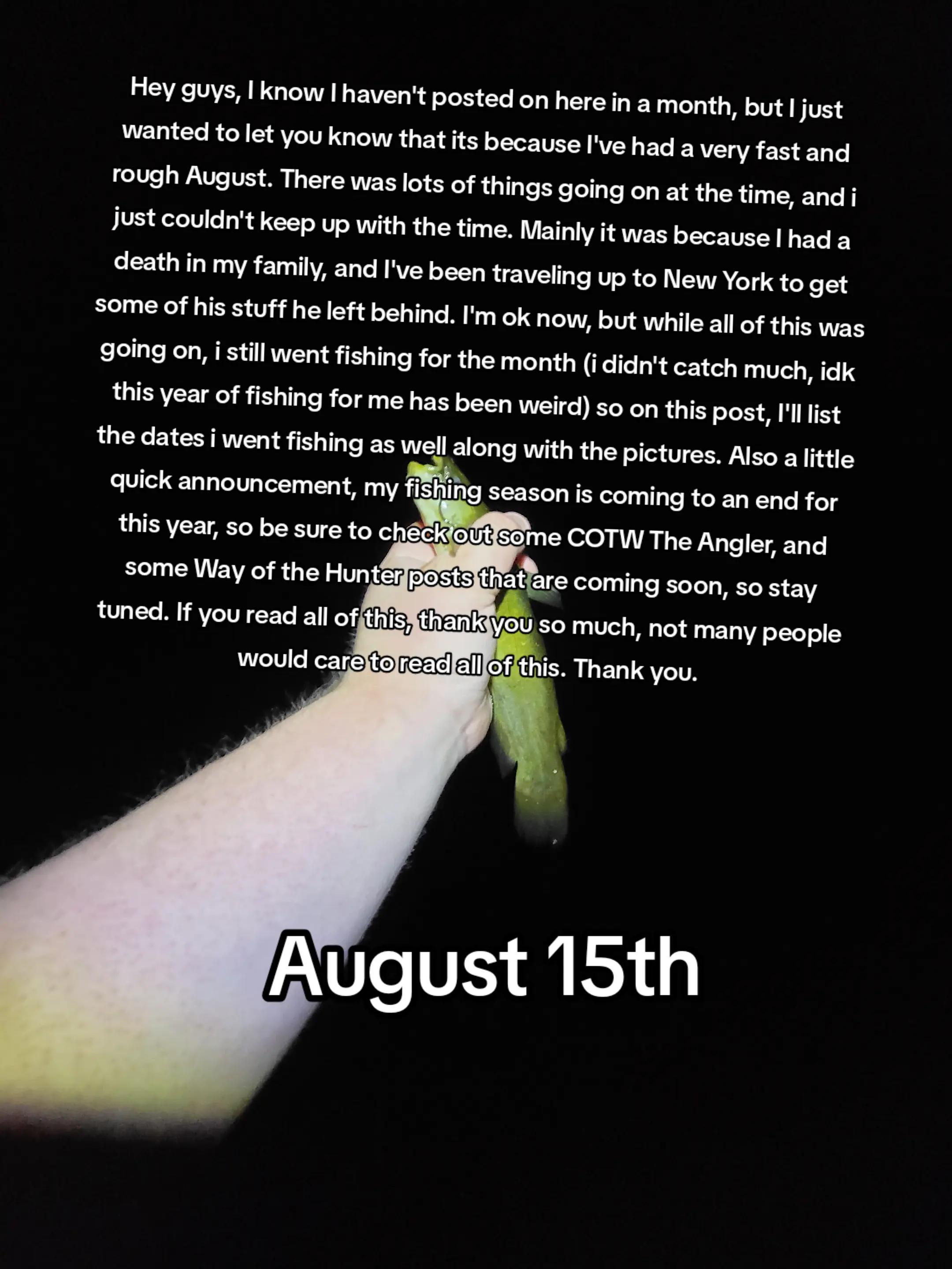 @TheReelLife