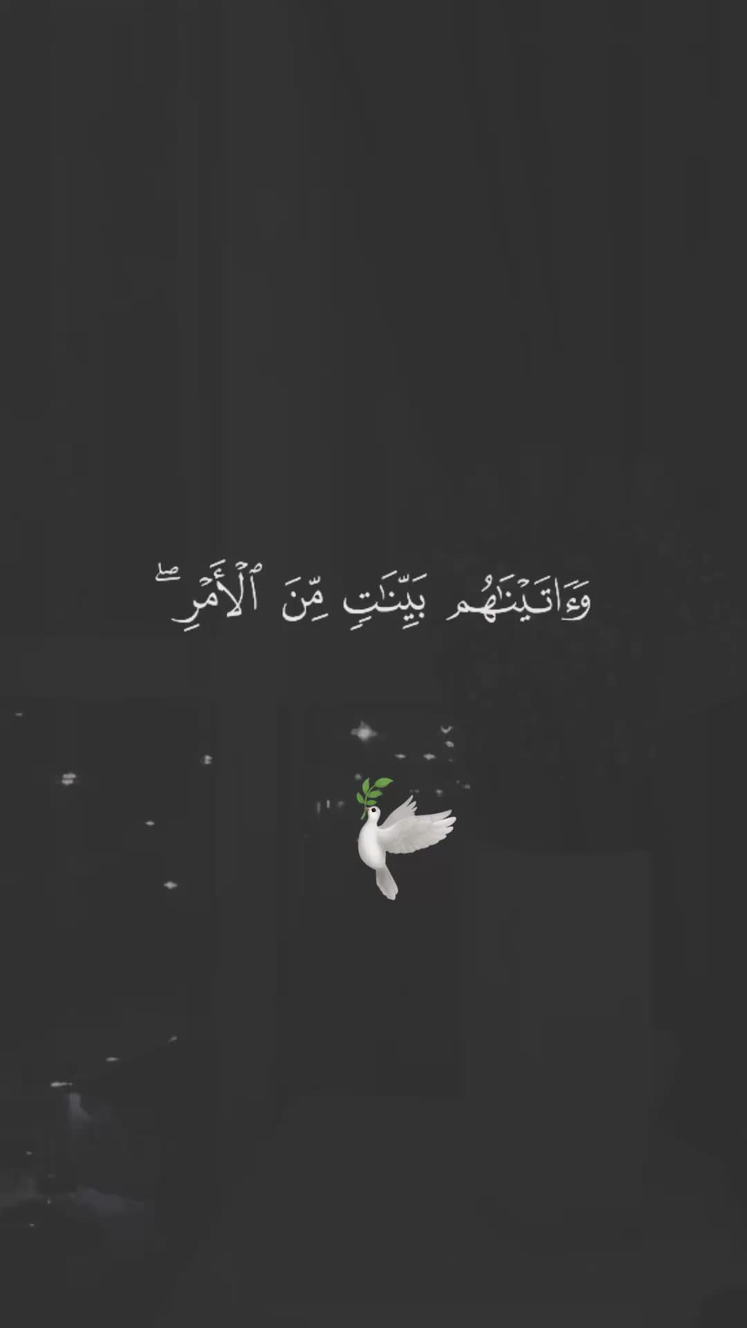 @๐๐๐๐๐_๐๐๐๐๐๐ ๐