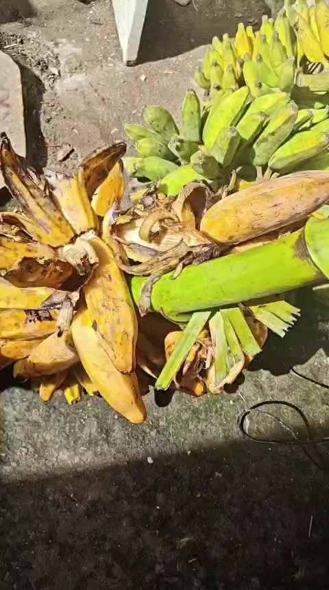 @#Leydinhacuidadora