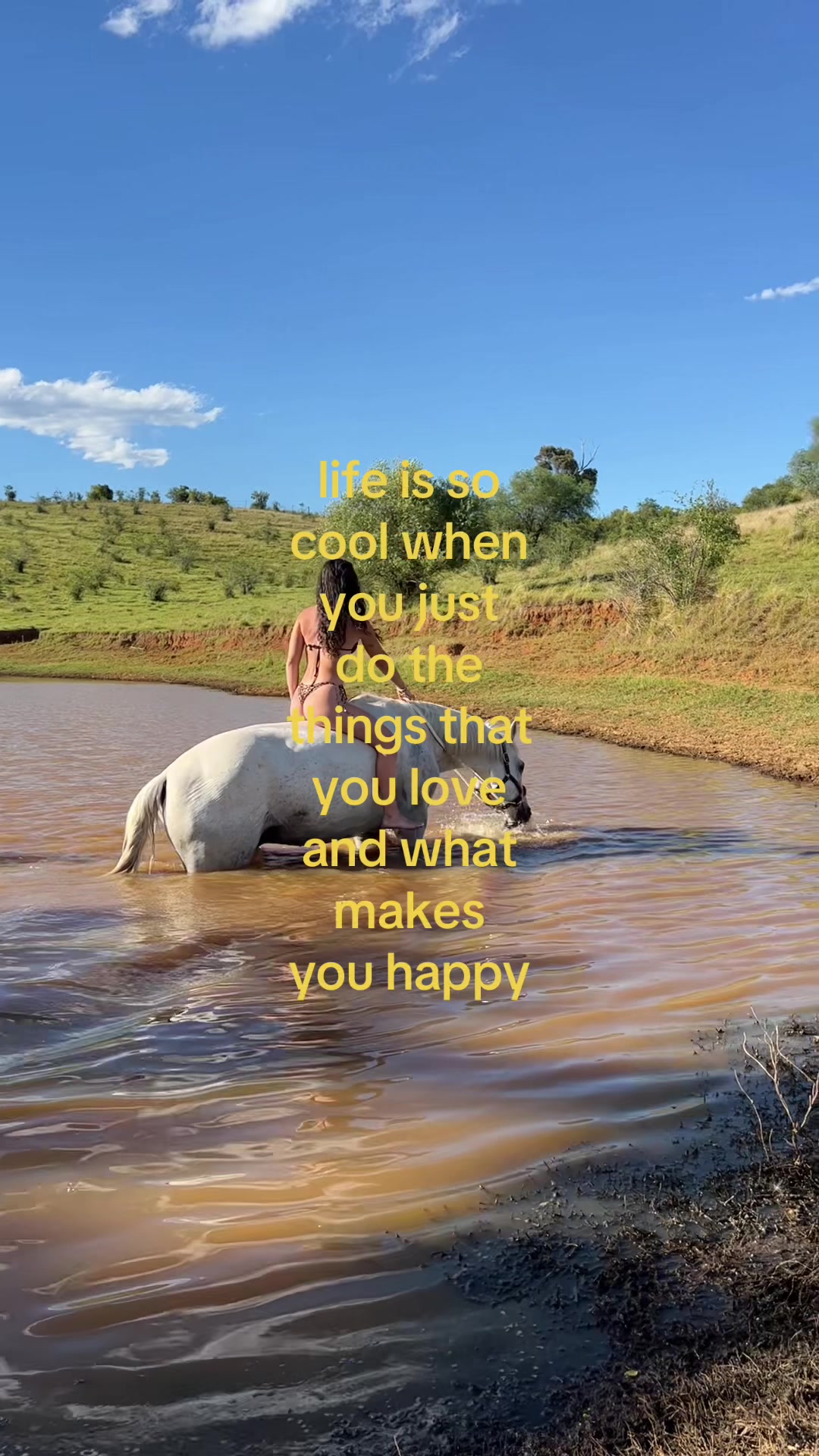 @emily