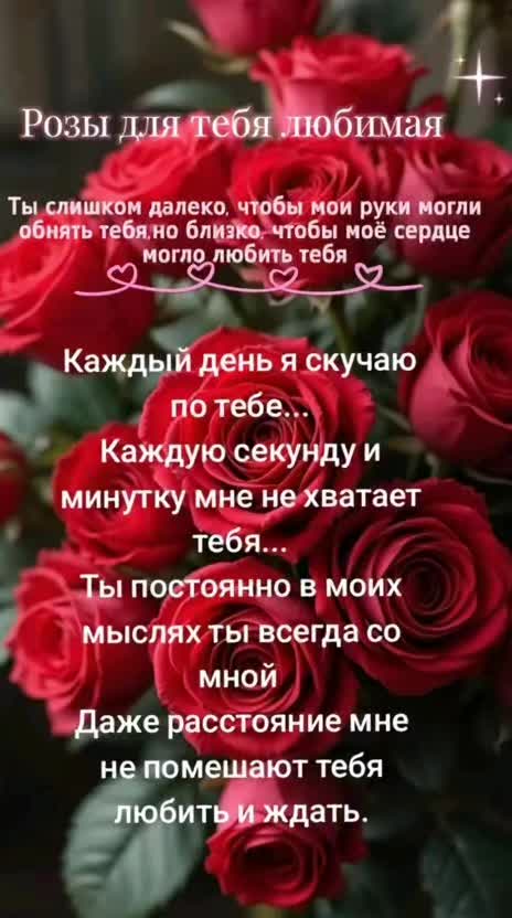 @🇬🇪🇮🇹Lasha Лаша ლაშა🇮🇹
