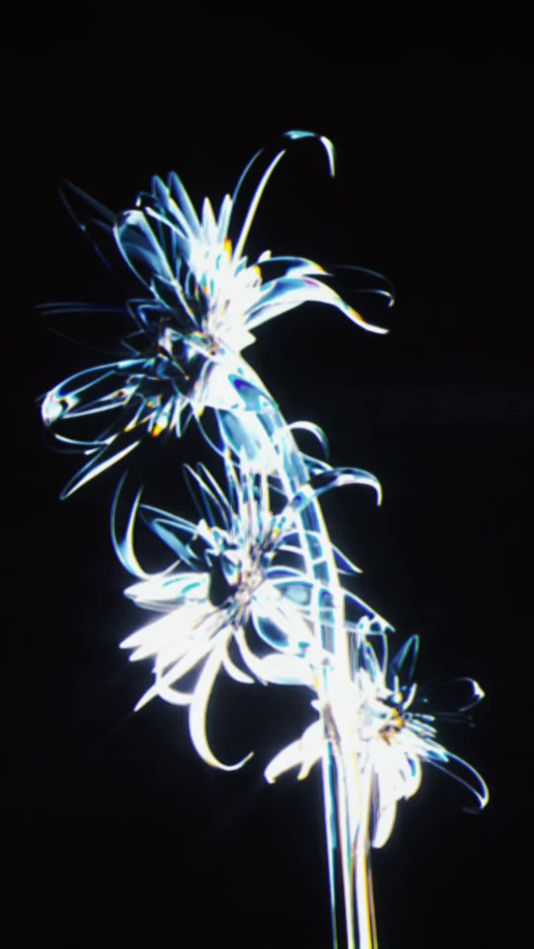 @Embodiment Celestial