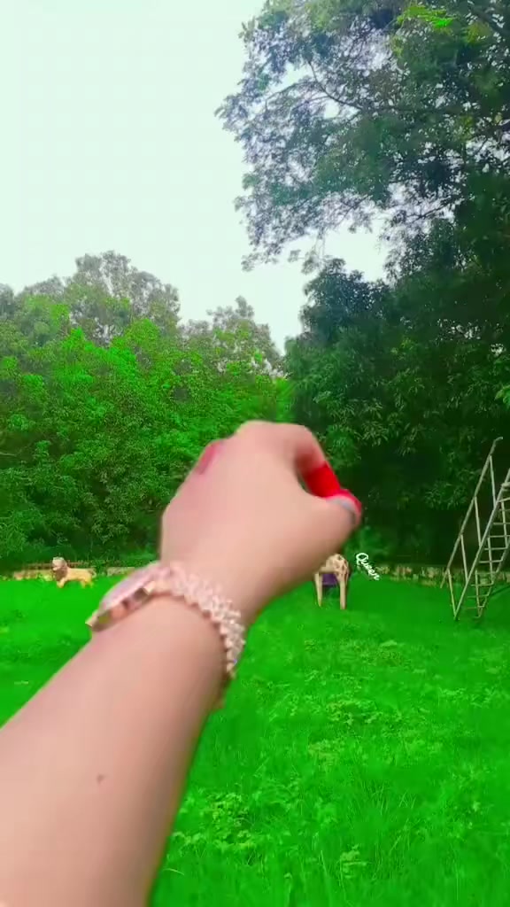 @𝑨𝒚𝒆𝒔𝒉𝒂 𝑺𝒊𝒅𝒅𝒊𝒒𝒖𝒆