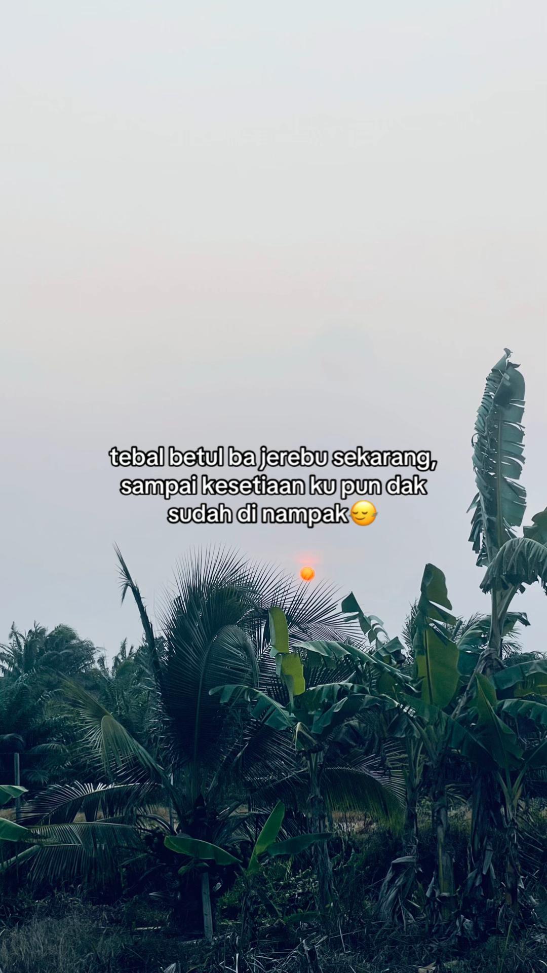 @tehhijau571