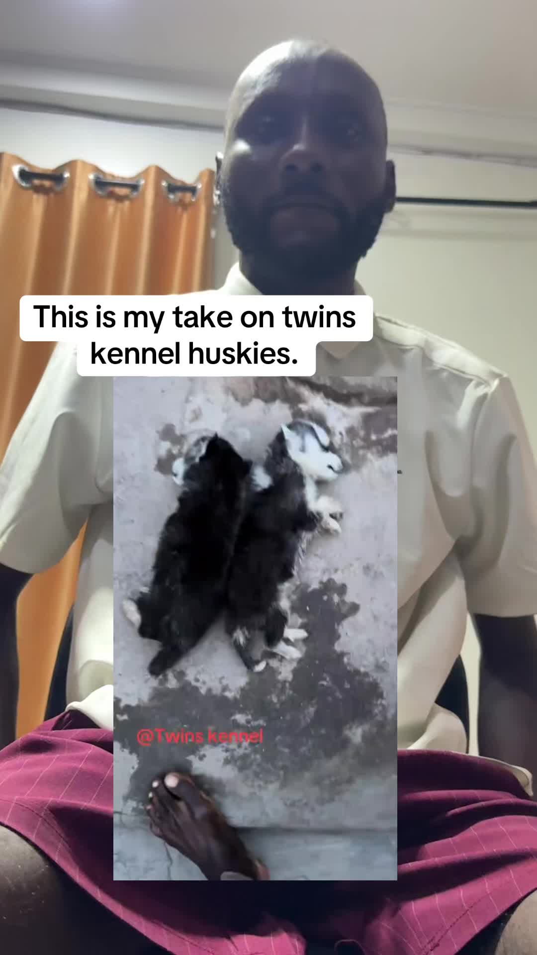 @Mothersheila_DogTv