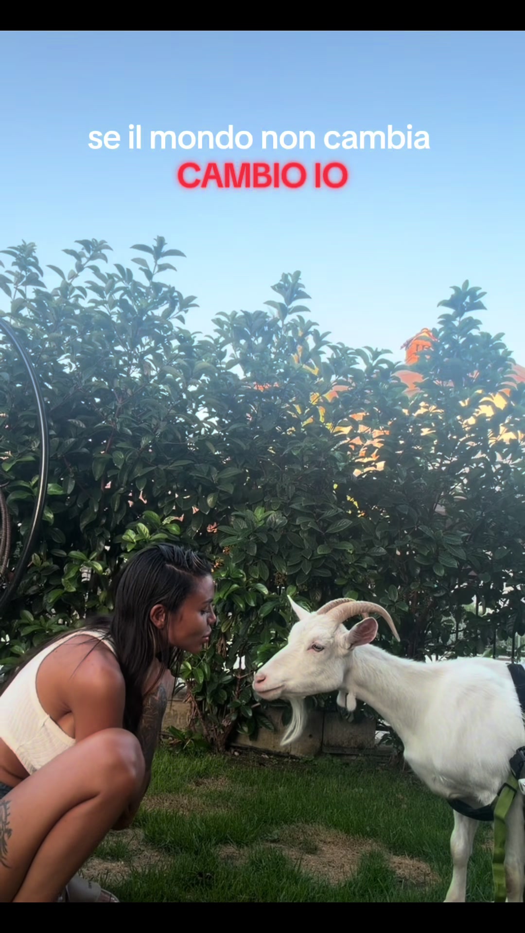 @bianca.e.nina