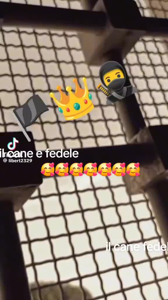 @Enza Minopoli12