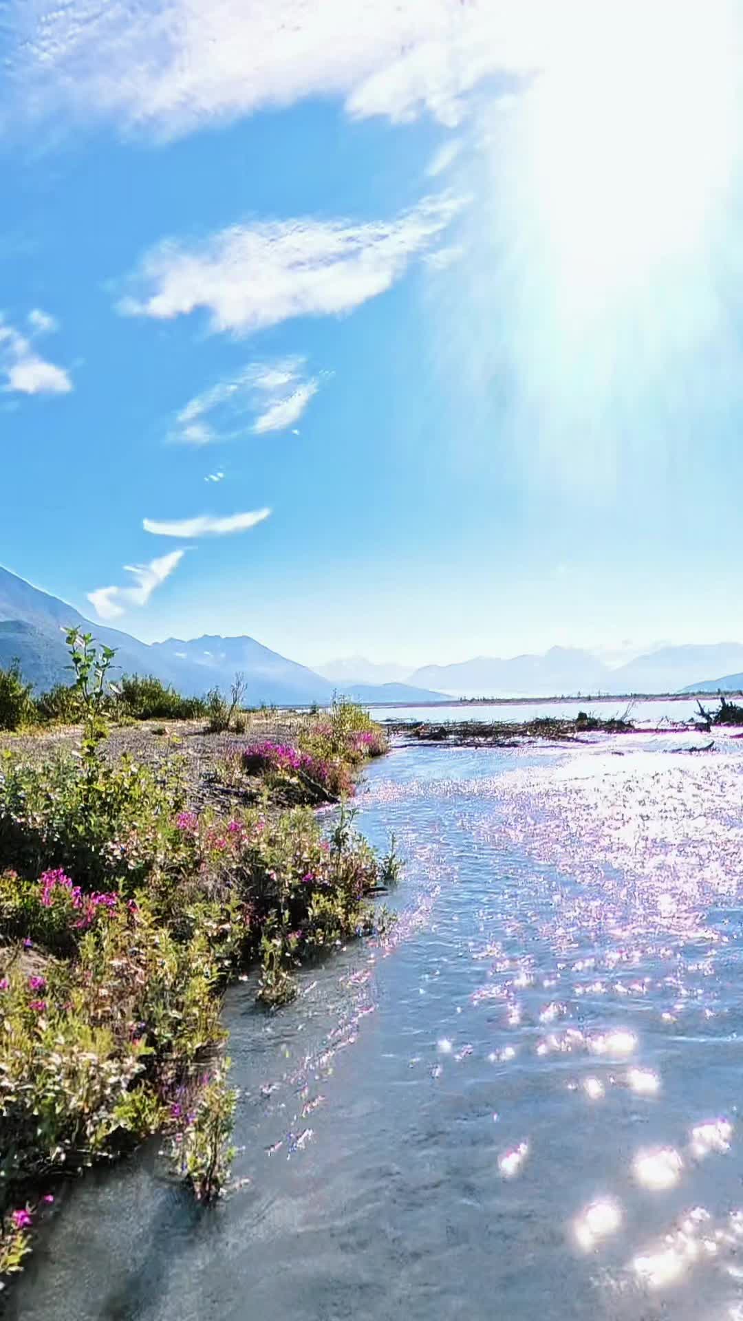 @My Heart Beats Alaska