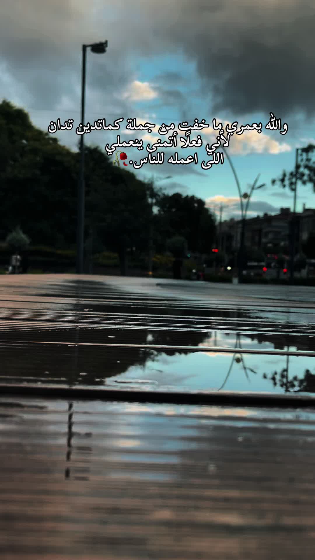 @﮼عبود